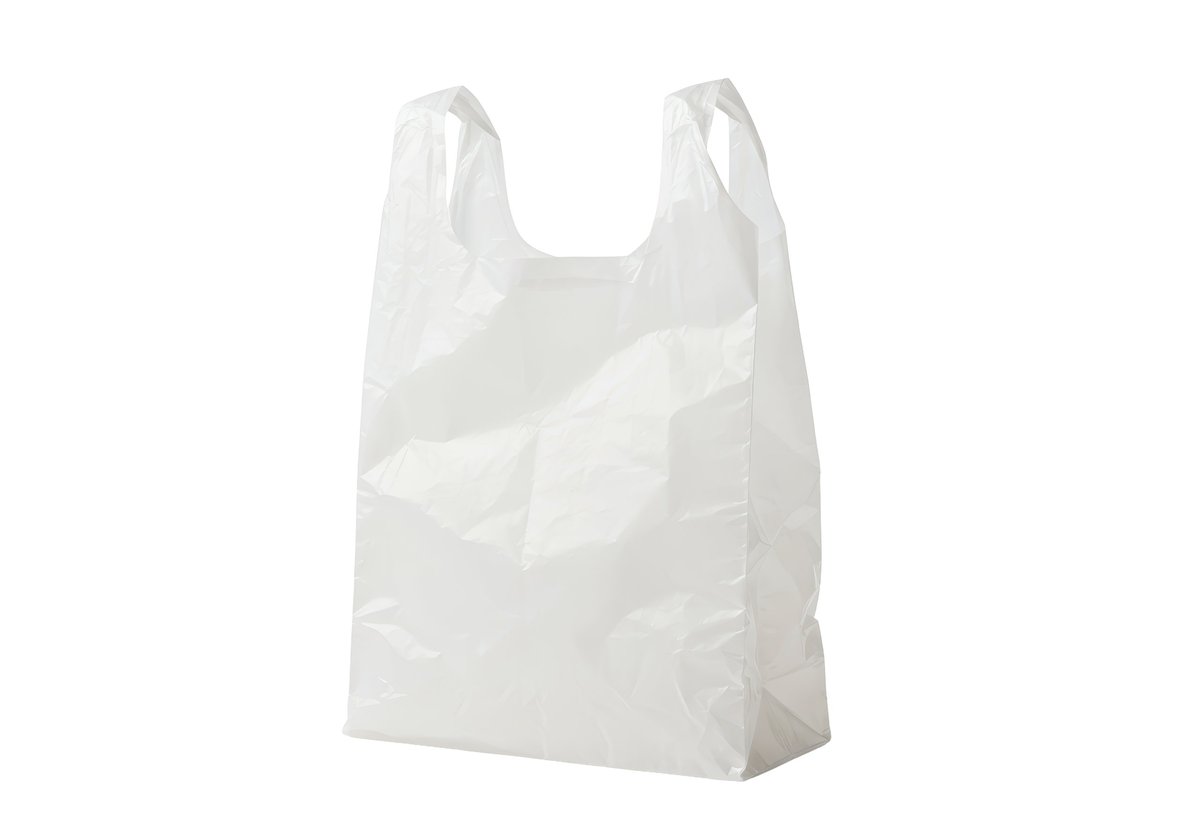 Shopping bag carried home from a retail store